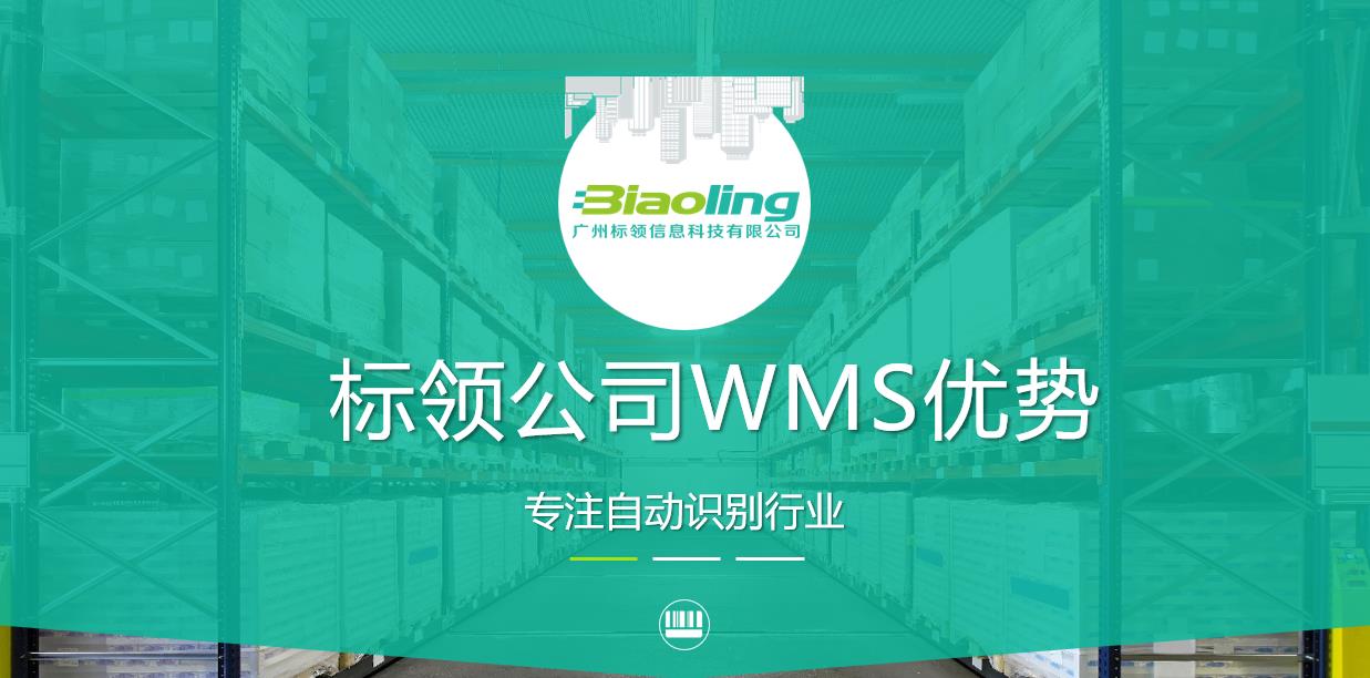 標領WMS的四大優勢