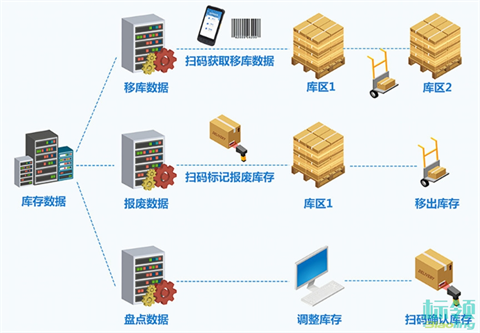 中藥倉儲的未來：WMS冷庫系統的創新解決方案